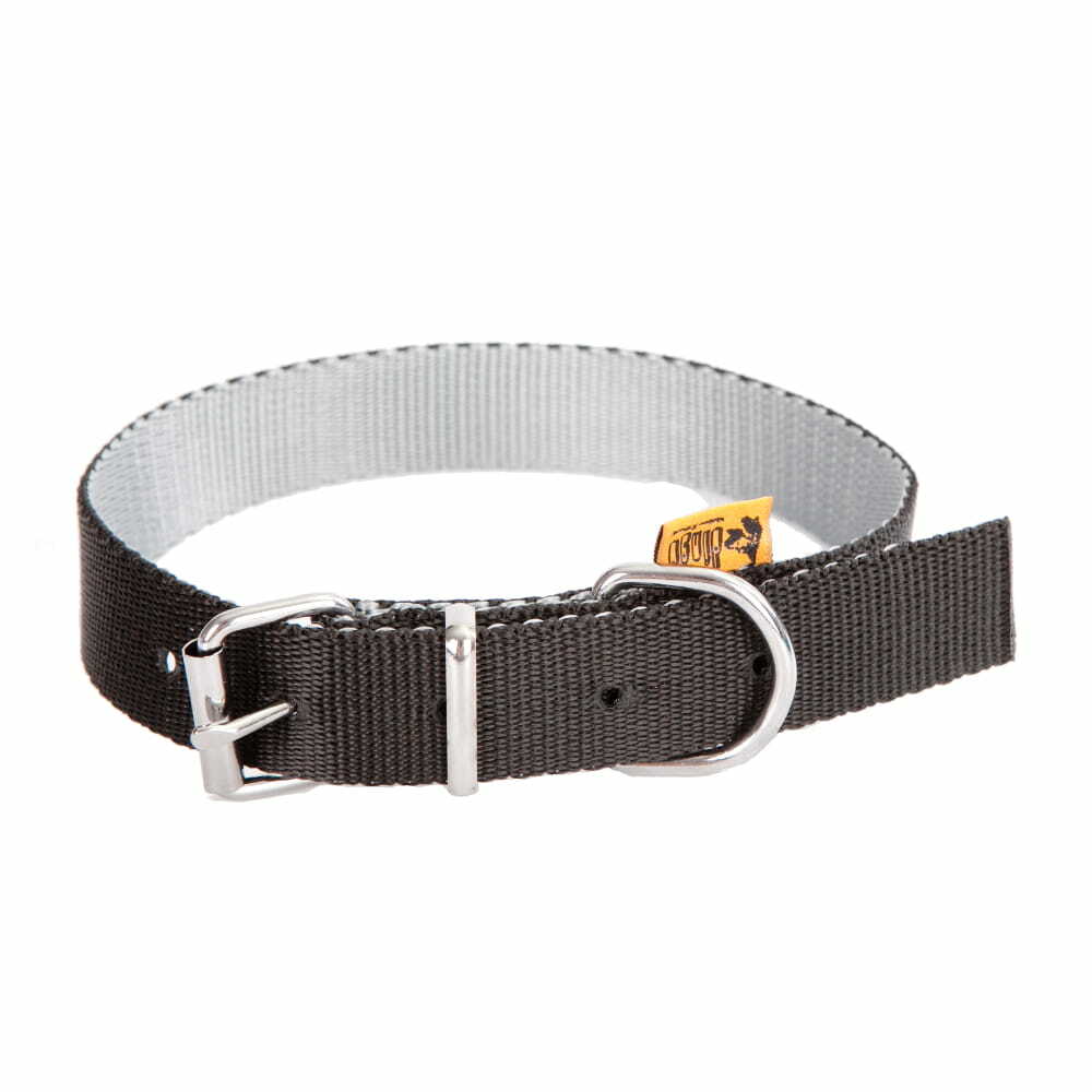 Product photo Twilight Silver Collar, Metal Buckle