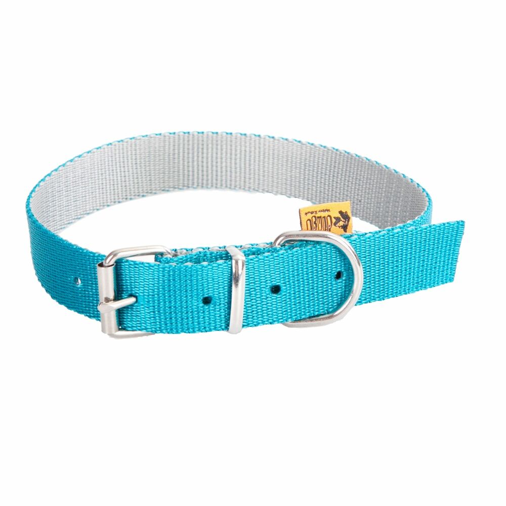 Product photo Twilight Silver Collar, Metal Buckle