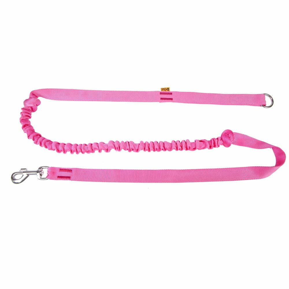 Product photo Bungee Leash With Handle