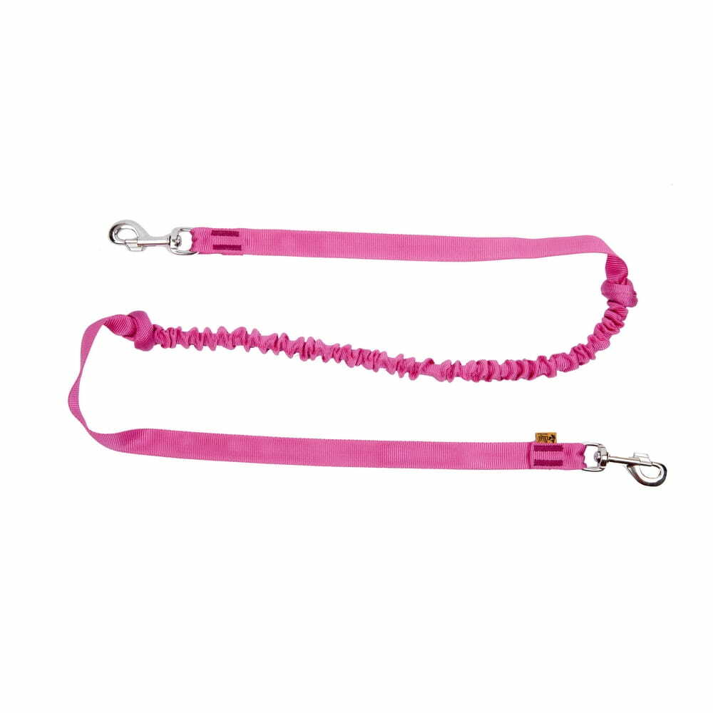 Product photo Bungee Leash With 2 Snap-Hooks