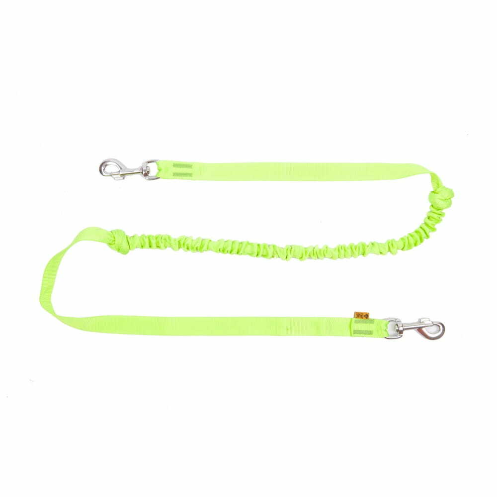 Product photo Bungee Leash With 2 Snap-Hooks