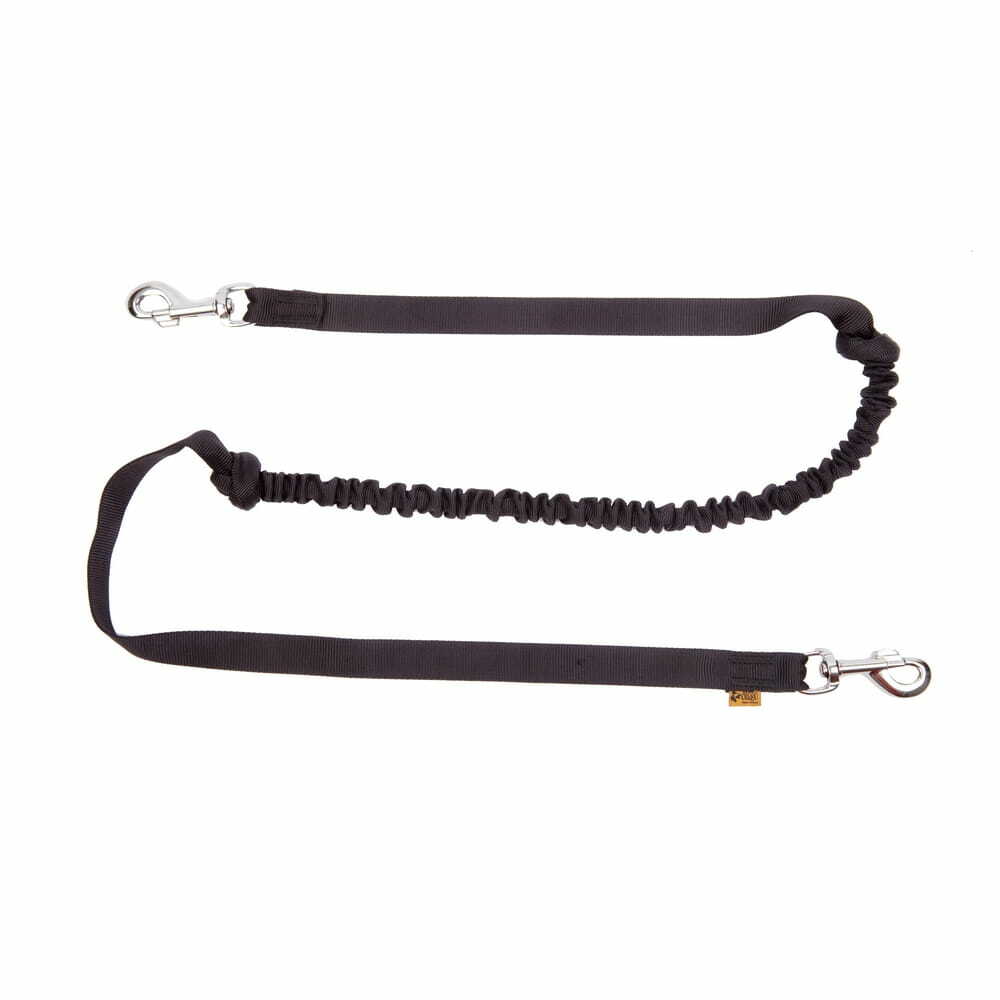 Product photo Bungee Leash With 2 Snap-Hooks