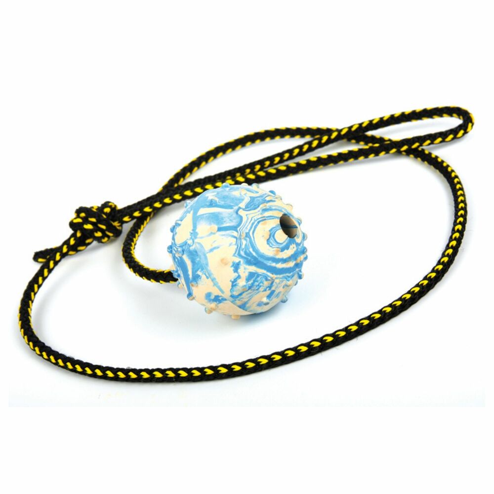 Product photo Retrieving Ball With A Rope