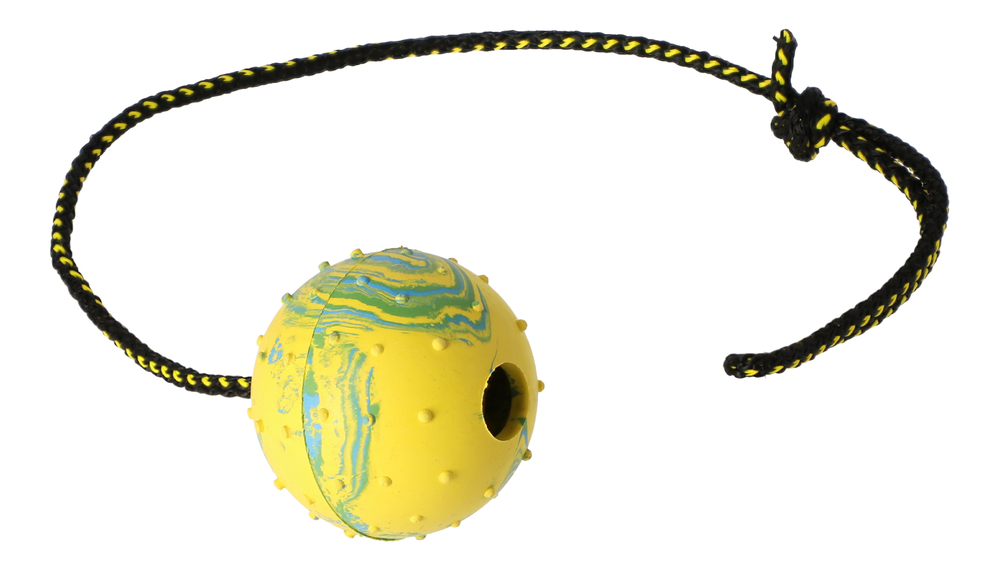 Product photo Retrieving Ball With A Rope