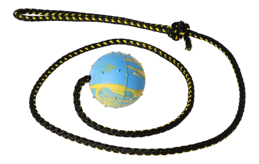 Product photo Retrieving Ball With A Rope