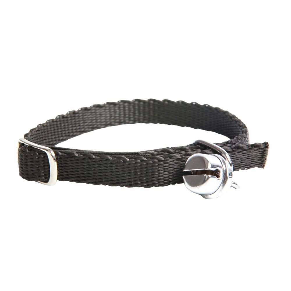 Product photo Cat Collar, Pp Tape