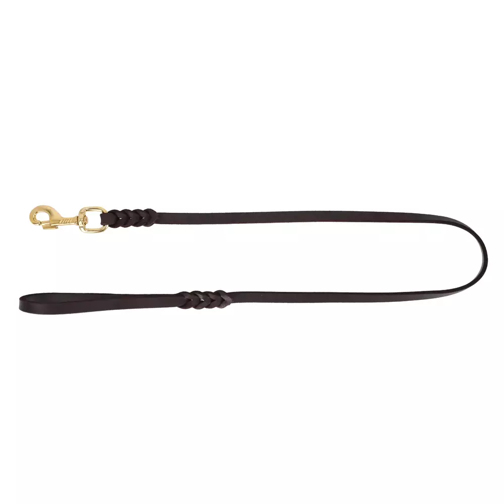 Product photo FAT leather braided leash, brass snap hook
