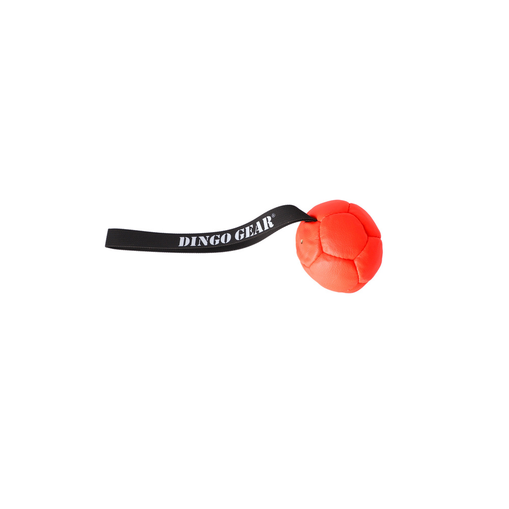 Product photo Inflatable ball with handle