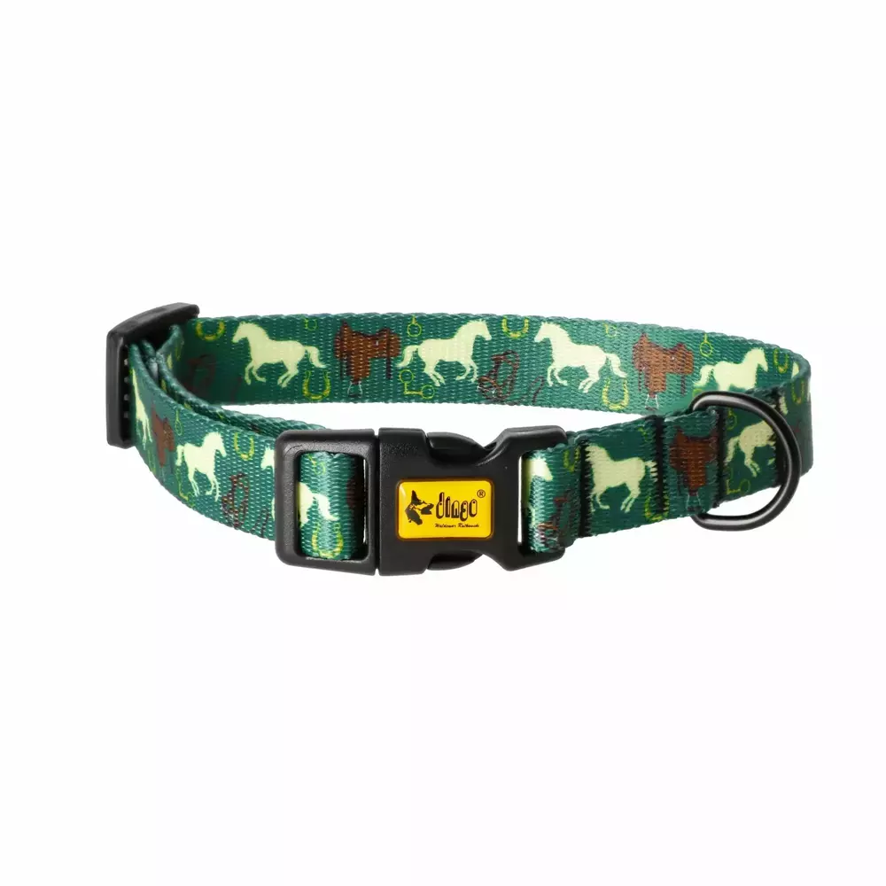 Zdjęcie produktu Obroża regulowana CITY - Horse