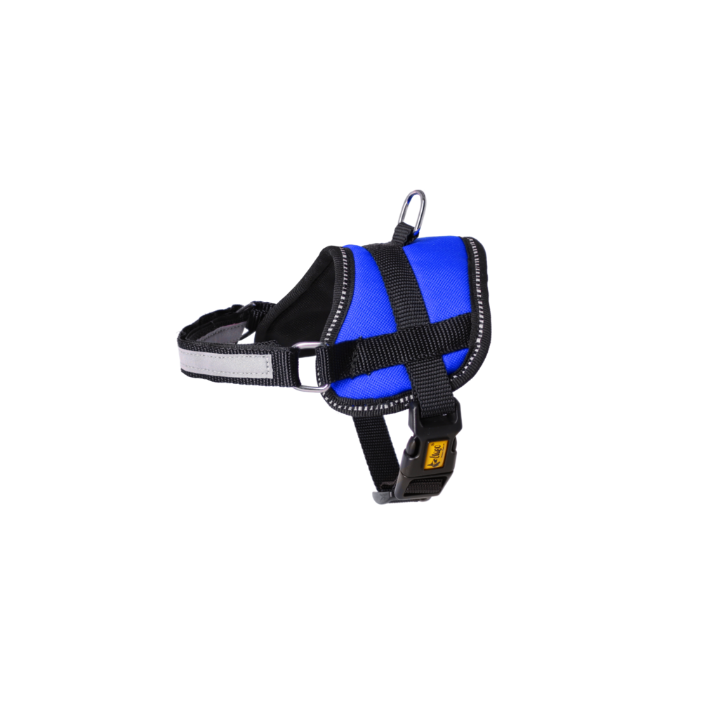 Product photo STRONG dog harness - BLUE