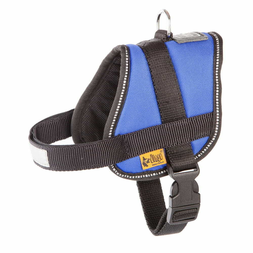 Product photo STRONG dog harness - BLUE
