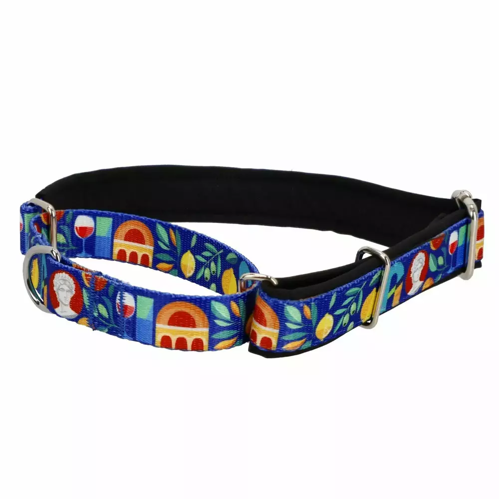 Product photo Martingale collar City Greece