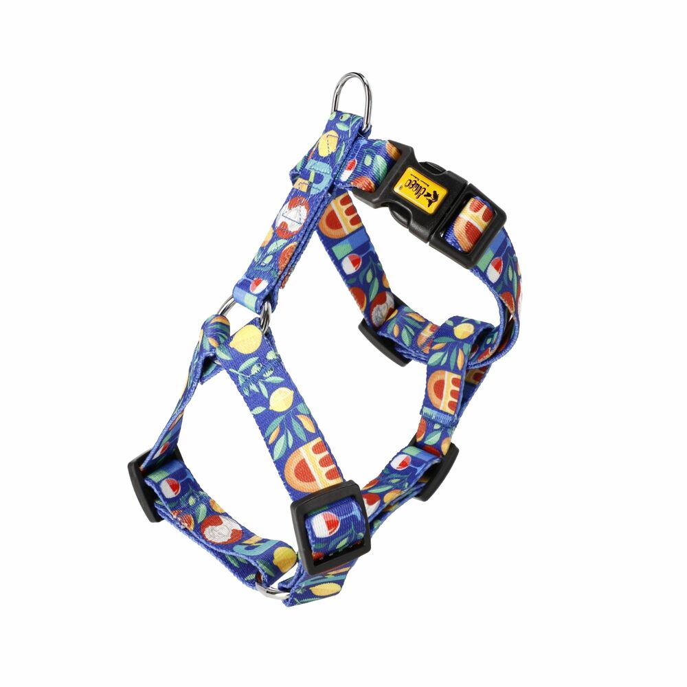 Product photo Double-strap guard harness City Greece S