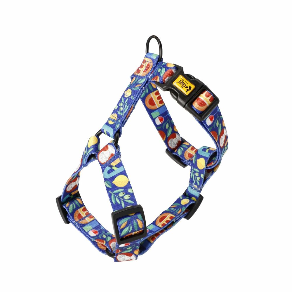 Product photo Double-strap guard harness City Greece L