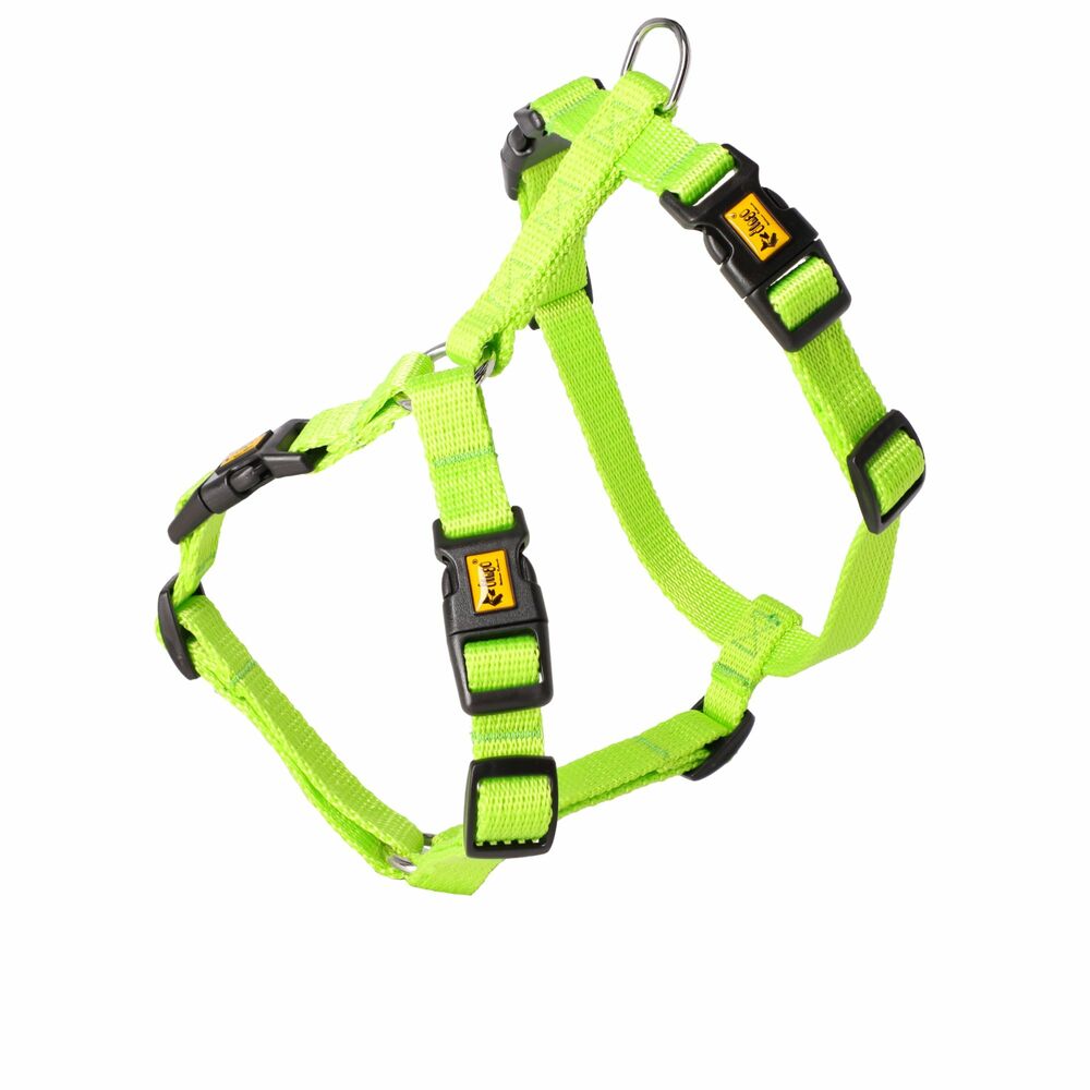 Product photo GUARD ENERGY harness with 4 buckles