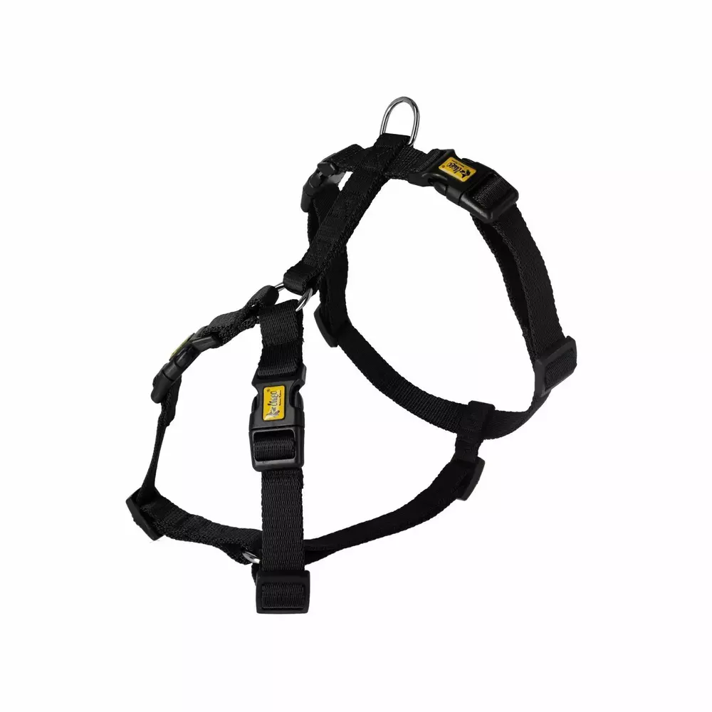Zdjęcie produktu Szelki GUARD  zapinane na 4 klamry