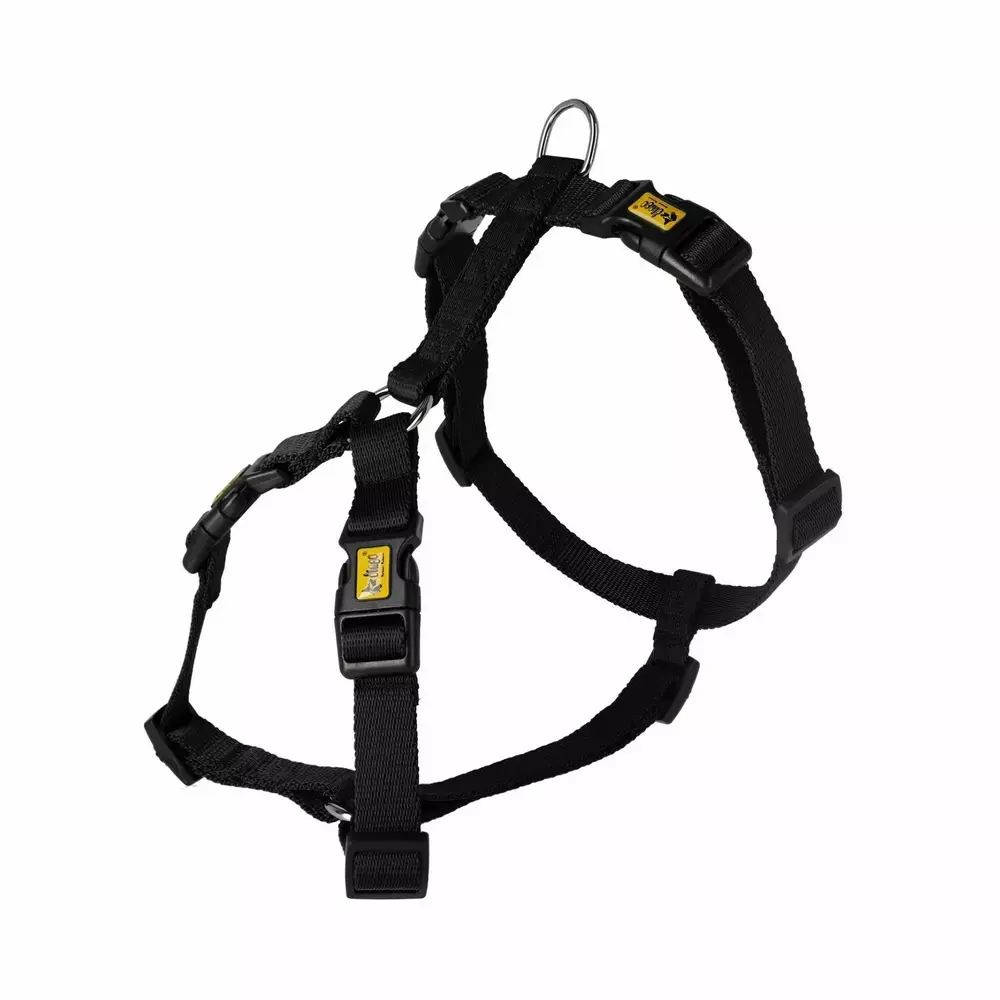 Product photo GUARD  harness with 4 buckles