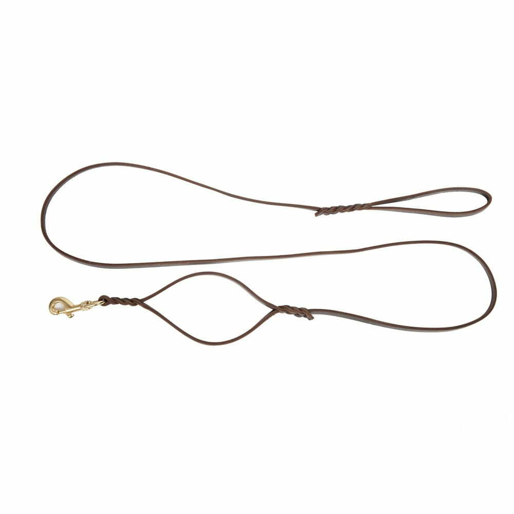 Product photo Leather leash with handle near the carabiner