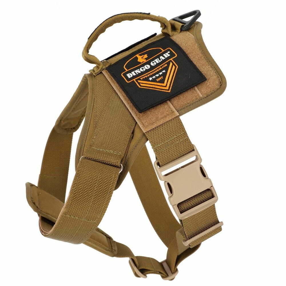 Product photo Harness made of tape for dog marking