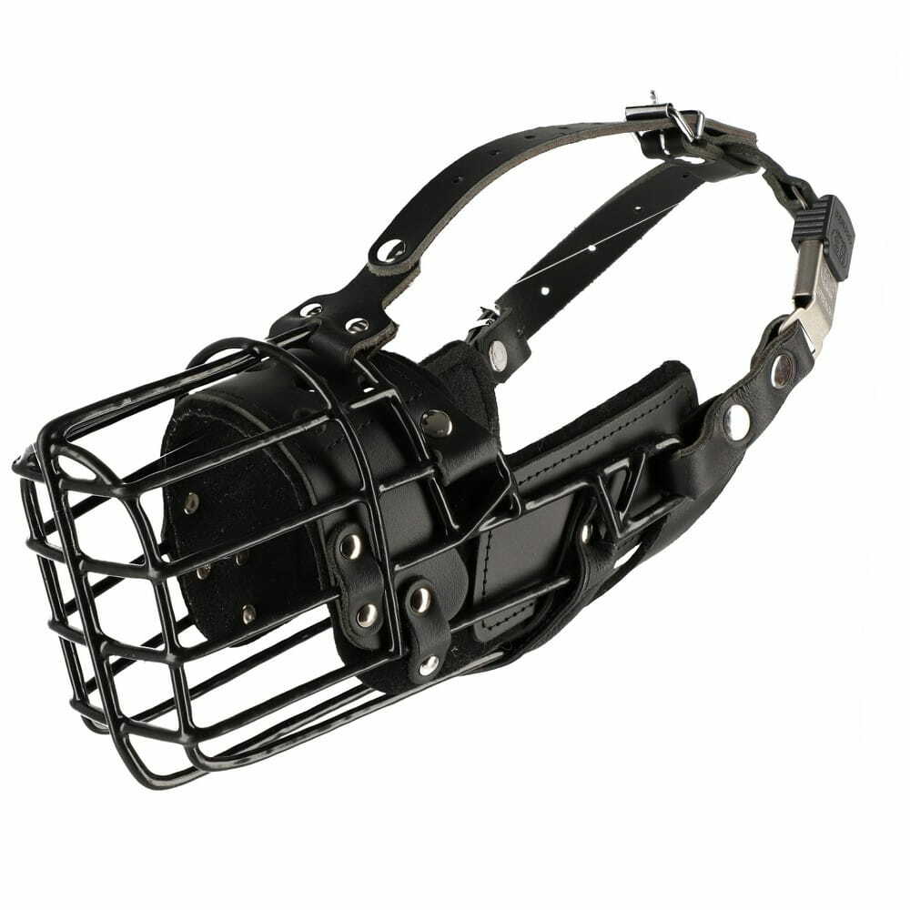 Product photo K-9 physiological muzzle for Malinois