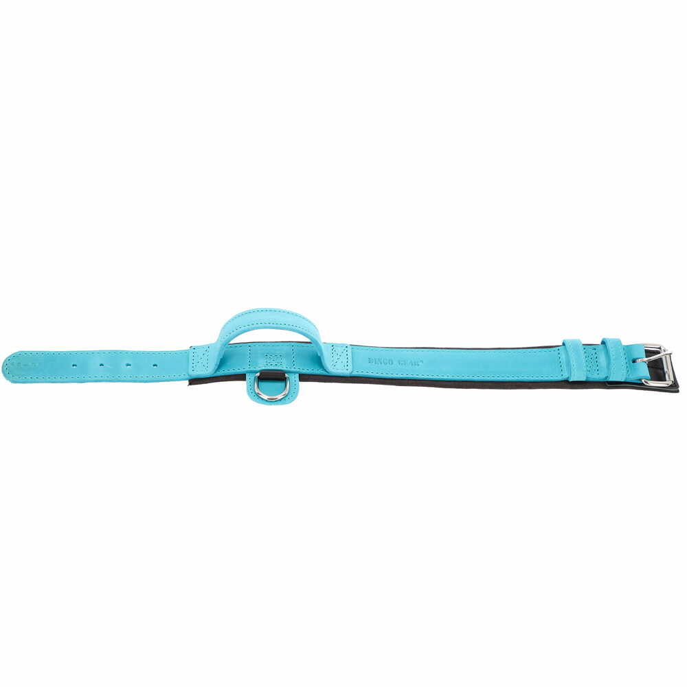 Product photo Leather collar with DRAGO handle, colored