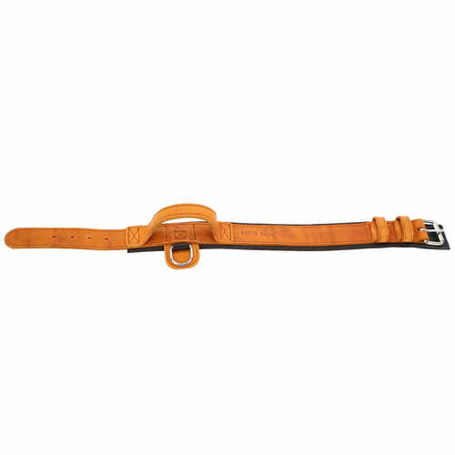 Product photo Leather collar with DRAGO handle, colored