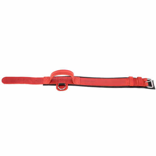 Product photo Leather collar with DRAGO handle, colored