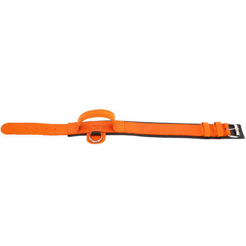 Product photo Leather collar with DRAGO handle, colored