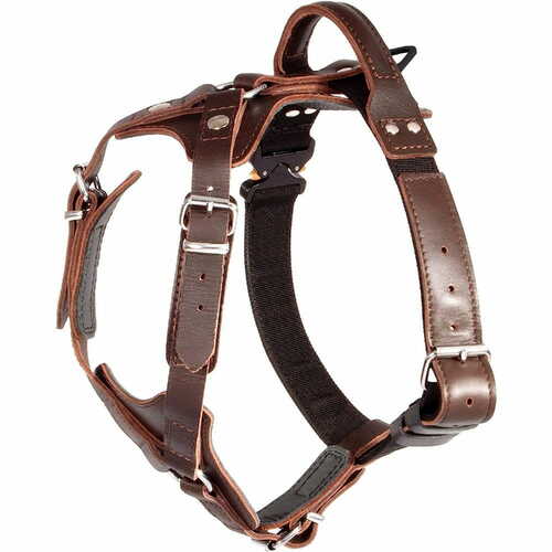 Product photo AMOS Cobra System leather harness, brown