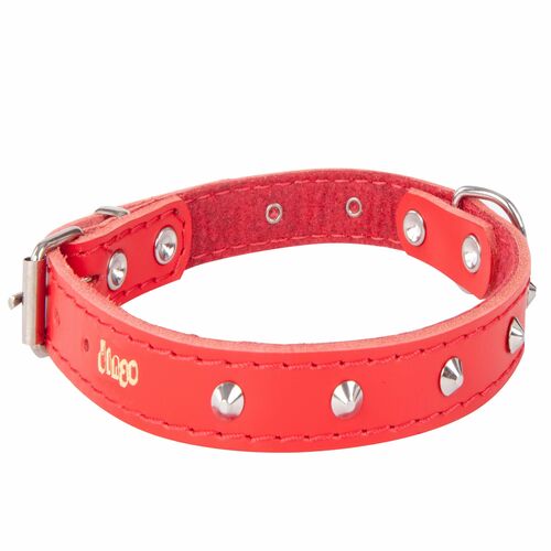 Product photo Classic Decorative Leather Collar