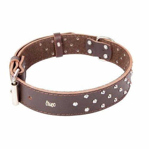 Product photo Classic Decorative Leather Collar