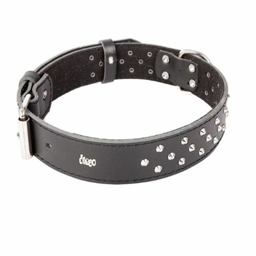Product photo Classic Decorative Leather Collar