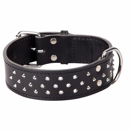 Product photo Classic Leather Extra Collar With Studs