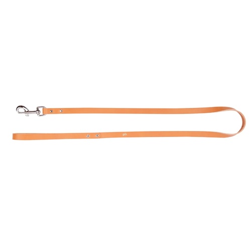 Product photo Classic Leather Single Leash