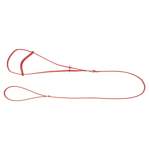 Product photo Classic Leather Show Leash