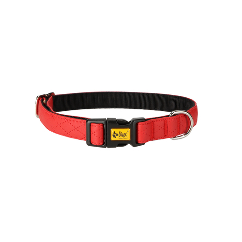 Product photo Terra Collar With Plastic Buckle