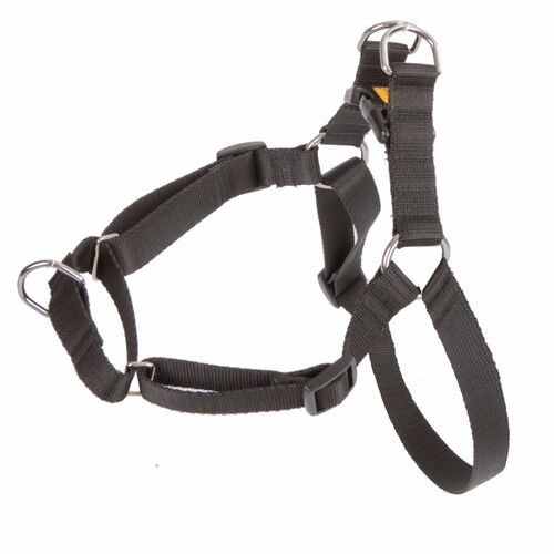 Zdjęcie produktu Szelki EASY - WALK
