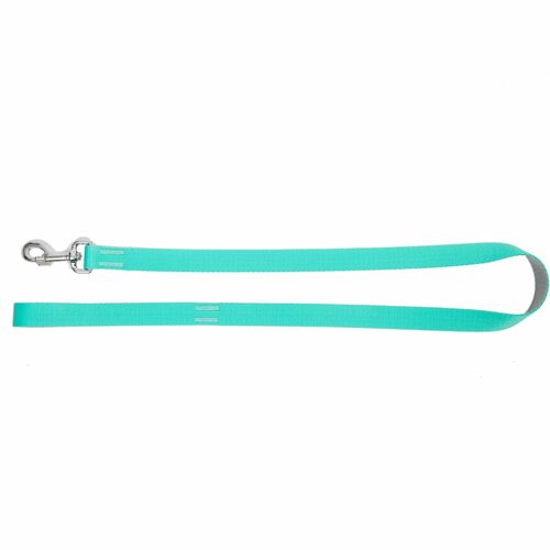 Product photo Energy Silver Urban Leash, Pp Tape