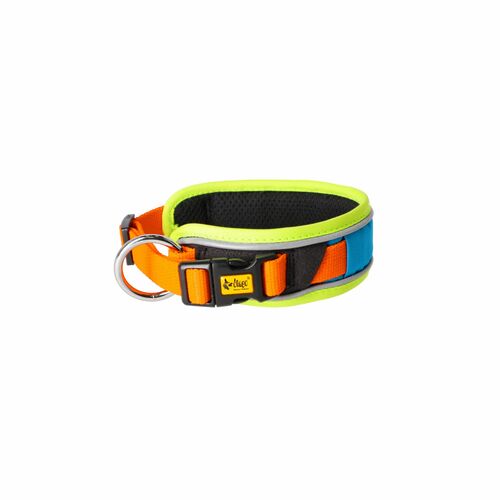 Product photo Active Collar
