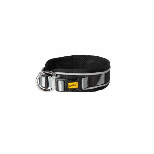 Product photo Active Collar