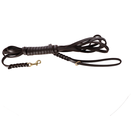 Product photo FAT leather training leash with handle, brass