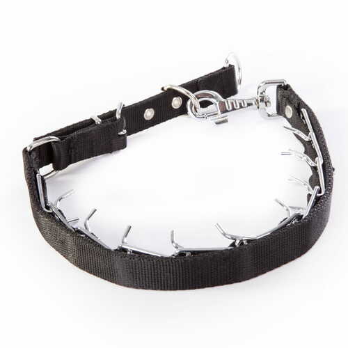 Product photo Hidden prong collar with adjustable strap