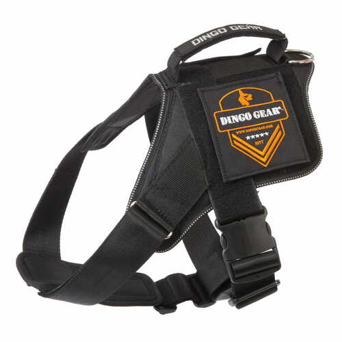 Product photo Harness made of tape for dog marking
