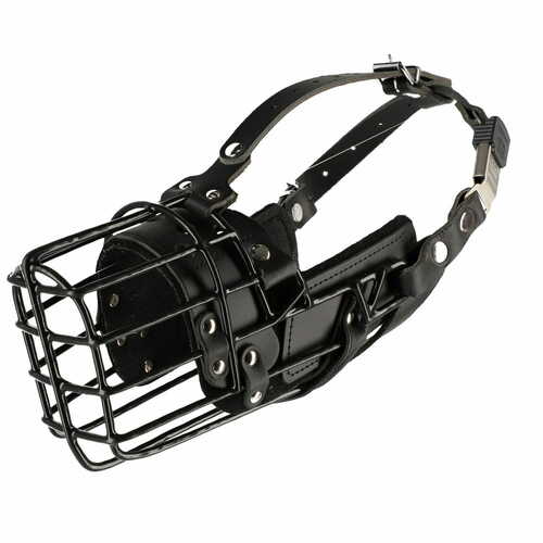 Product photo K-9 physiological muzzle for Malinois