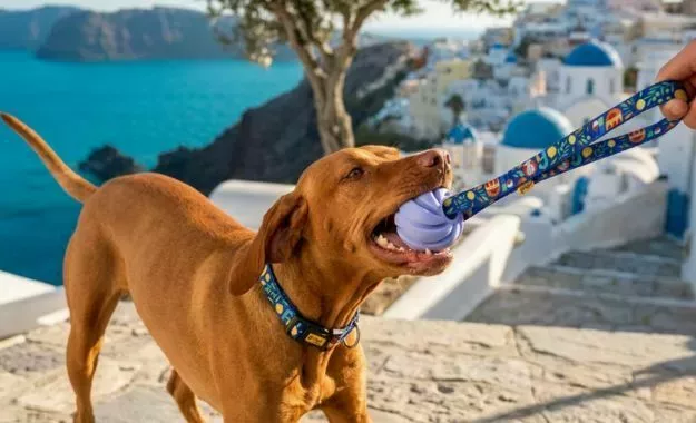 Zdjecie newsa Nowe kolekcje CITY GREECE & SPAIN – wakacyjna nowość w ofercie B2B Dingo
